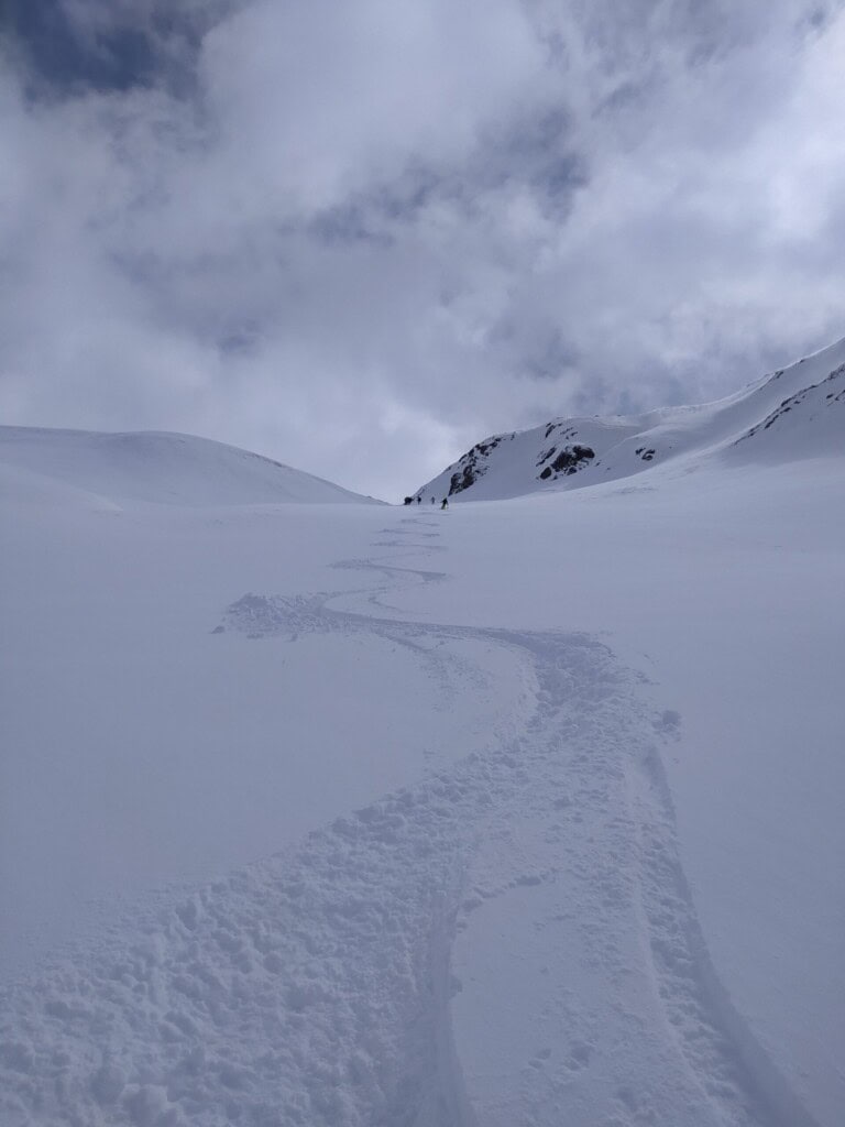 Powder downhill