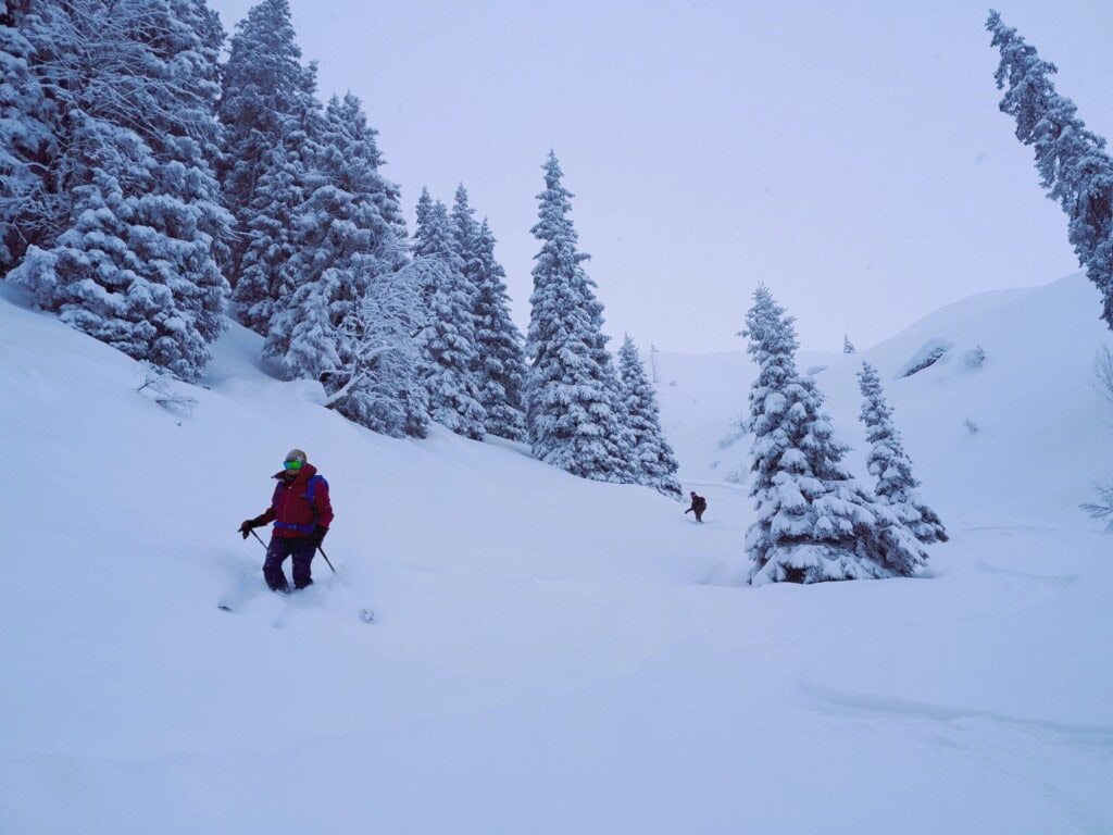 Abfahrt im Pulver mit verschneiten Bäumen