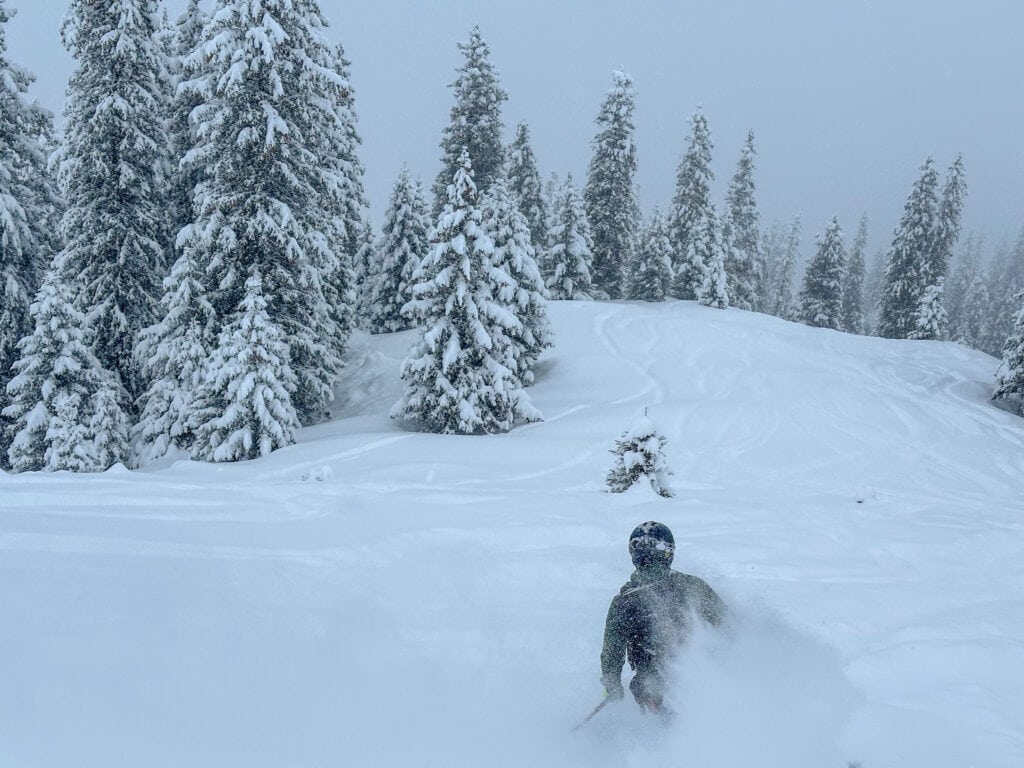 Powdern im Wald